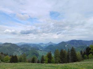Ferienwohnung Ternberg