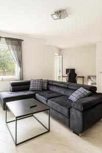 Stilvolles Apartment mit zwei Bädern Terrasse und Parkplatz nahe Rhein und Bonn Zentrum