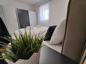 Apartman Mares 3