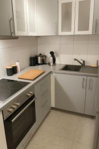 Stilvolles Apartment mit zwei Bädern Terrasse und Parkplatz nahe Rhein und Bonn Zentrum