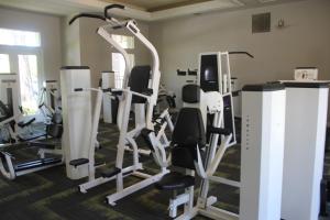 Luxury 3 Bedroom Apartment