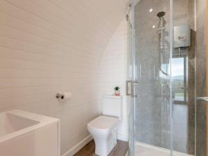 1 Bed in Corwen 80320