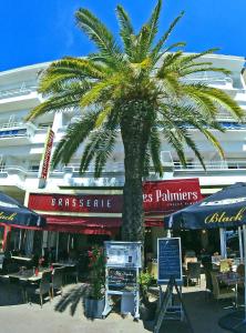 Hotels Les Palmiers : photos des chambres