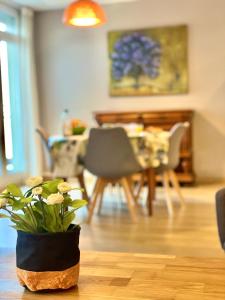 " Atelier des Teinturiers " Centre Ville - Linge Fourni