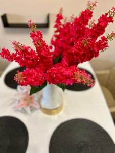 Urban Nest Varna - Near Center and Bus Station