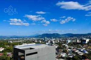 Modern apt with stunning city and mountain views