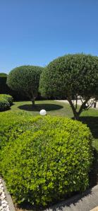 Villa Marivel