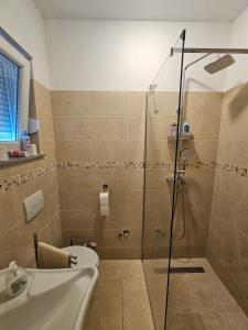 Apartment & Room Danijel