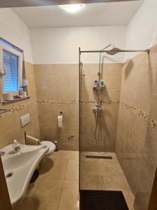 Apartment & Room Danijel