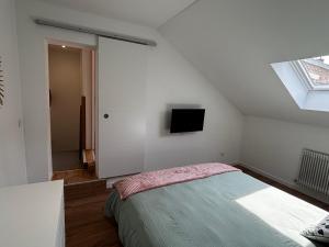 Entre ville et marais