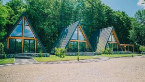 A-frame Marisa Vadu Crisului