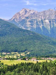 Appartamento Genziana