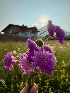 Appartamento Genziana
