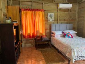 Cabaña Jacaranda #2, junto al río, San Isidro, Pérez Zeledón