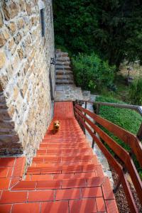 Holiday House Calla, house with a view, near Piran