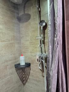 B&B / Chambres d'hotes Au Richebourg Nogent : photos des chambres