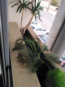 Mahdia apartment with sea view