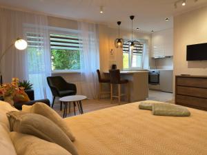 Dzintaru Beach Side Studio Apartment - close to the beach with free parking