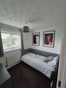 Bright & Cozy 3 Bed House with Parking