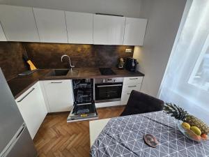 Center apartment with mountain view - free parking