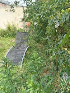 Appartements Studio neuf avec jardin partage : Appartement 1 Chambre