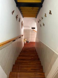 Vistas soñadas, centro, calido, ubicacion ideal