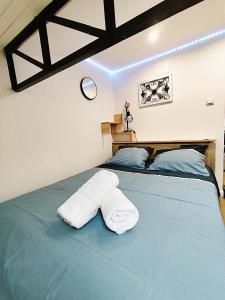 T2 neuf tout confort style industriel -centre Agen