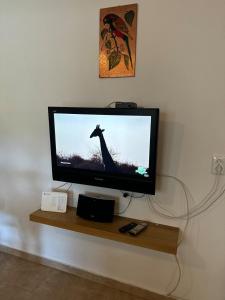 Luxury apartment close to beach