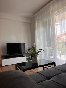 Tina Little Paradise