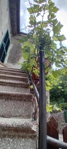 Nicolas House