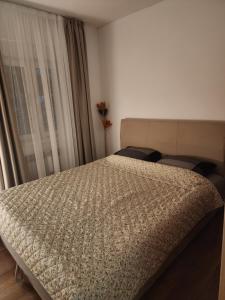 Stan na dan El Camino Pozarevac