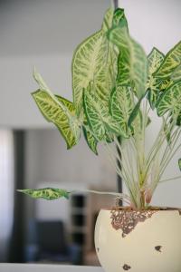 Apartments with parking space Lipovaca, Plitvice - 17657