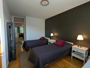 Nice and spacious apartment in center - own carport and private sauna