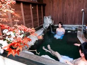 霧島みやまホテル (Kirishima miyama hotel)