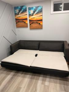 Spacious 2 bedroom with 2 queen beds and one sofa bed lower unit with separate entrance and parking space Near Downtown, Calgary Zoo, Costco and many more