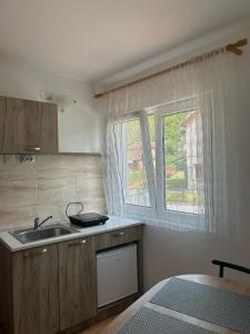 Vila Dunjić Prolom Banja