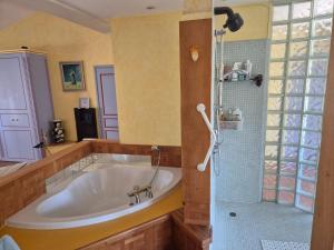 Villa in Le Luc with Pool & Vineyard Views