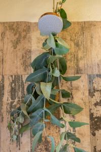 Unuwasi Hotel & Villa