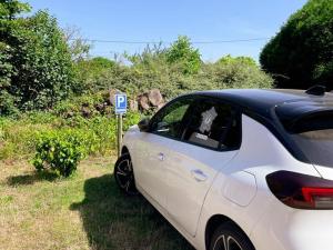 Maisons de vacances Gite a Oisly pres des Chateaux de la Loire avec Parking et Animaux Bienvenus - FR-1-491-469 : photos des chambres
