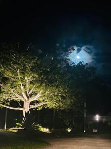 Hermoso Departamento en PDC