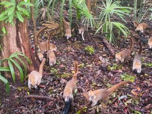 Hermoso Departamento en PDC