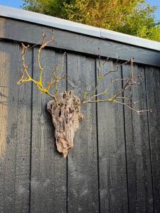 Fresh Air On Open Terrace With View