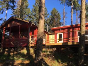Secluded Cottage In The Middle Of The Forest