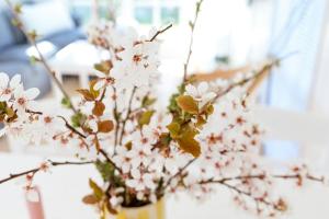 Classic House 100 Meters To The Beach