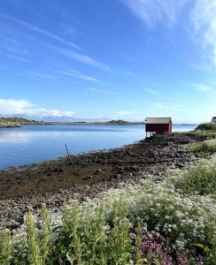 Tiny Cabin In Vesterålen