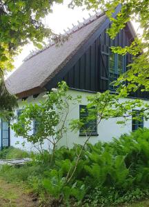 Colour Joy In Thatched House Of The North Coast