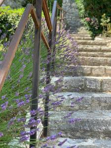 Maisons de vacances French Bastide With Sea View In Vence : photos des chambres