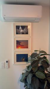 Modern guesthouse in Sätila, Lygnern