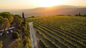 Apartment Among Tuscan Vineyard Hills