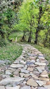 Amulyam Bliss Resort Mukteshwar